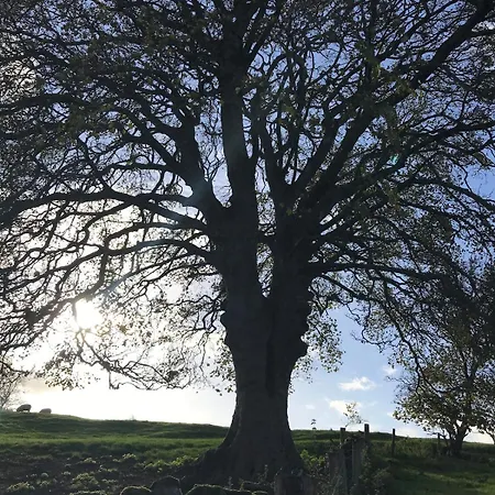 Nyaraló Holly - Village Location, 2miles From Penrith, District